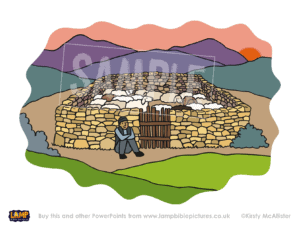 Sheep fold - Lamp Bible Pictures